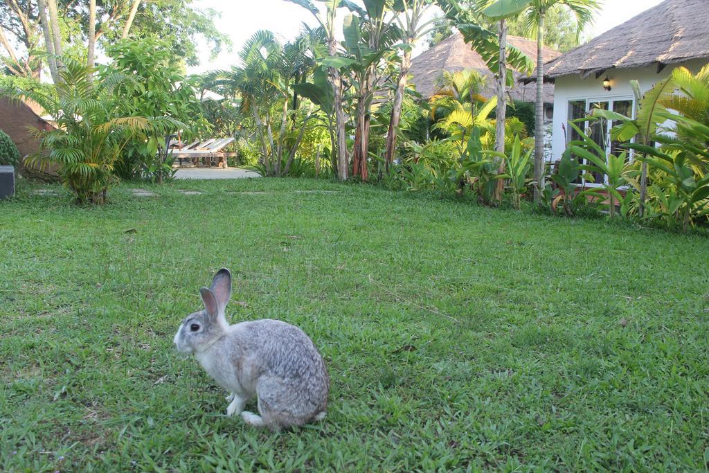 Blue Sea Boutique Hotel シアヌークビル エクステリア 写真